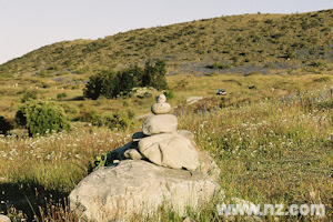 Mackenzie Basin